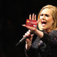 Illustration for article titled Adele Made $80 Million Last Year, Still Had Her Credit Card Declined at HM